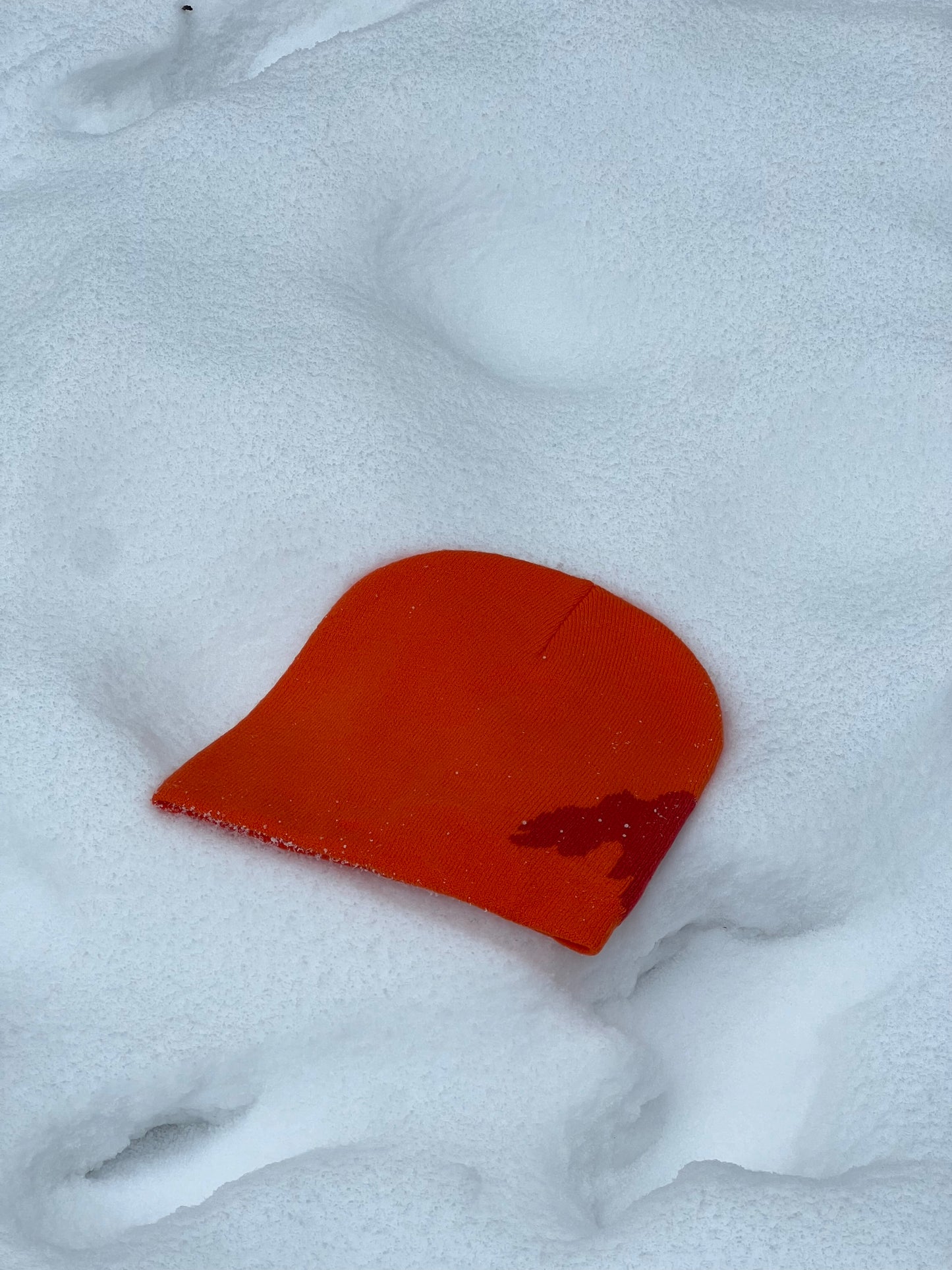 Wild Horses Beanie