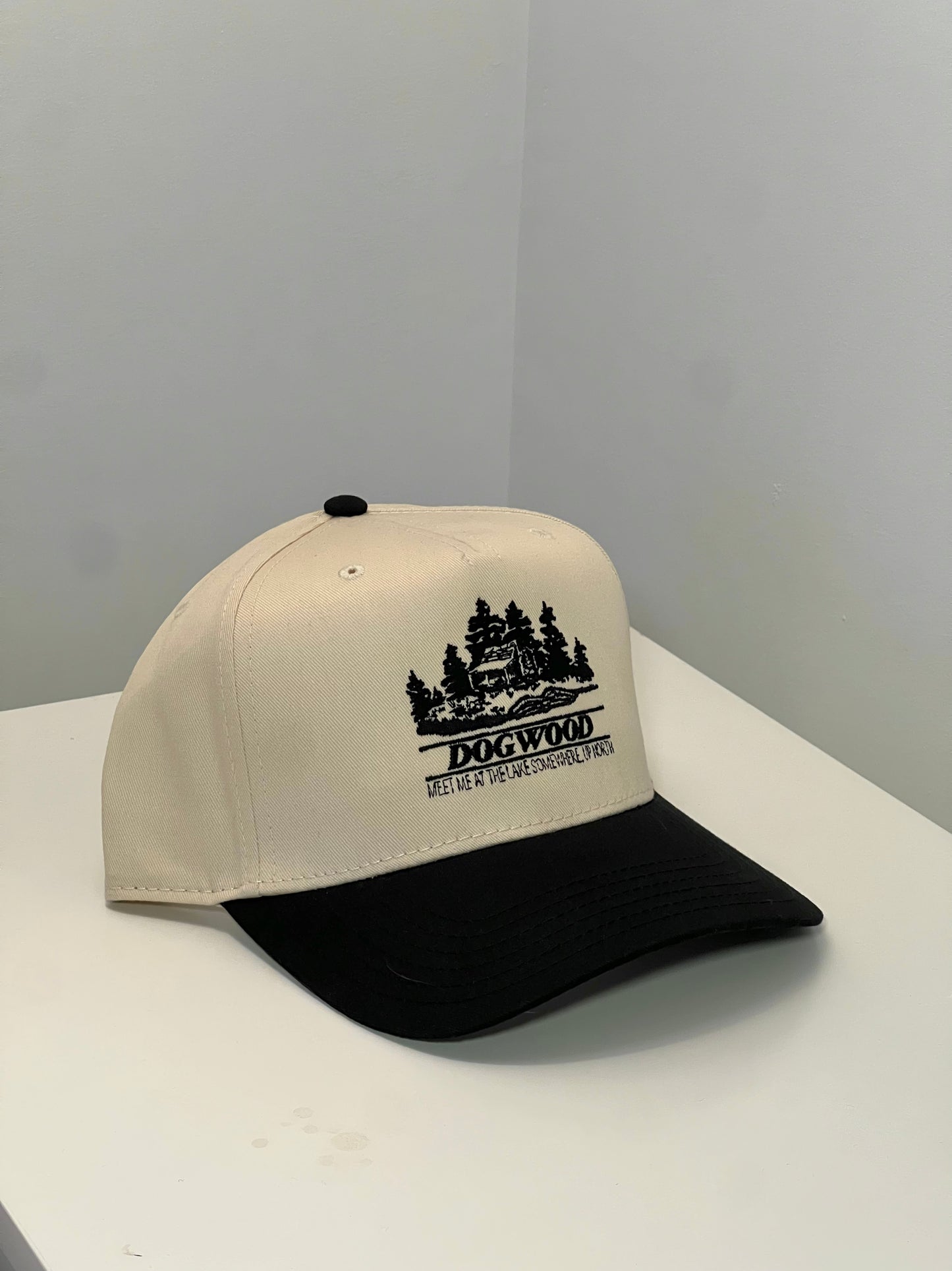 Cabin Trucker Hat Black