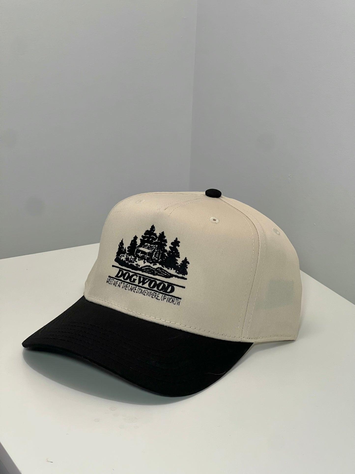 Cabin Trucker Hat Black